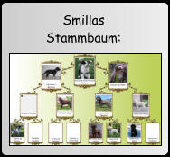 Smillas Stammbaum: